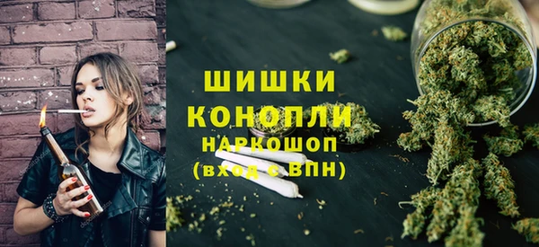 PSILOCYBIN Богородицк