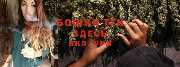 PSILOCYBIN Богородицк