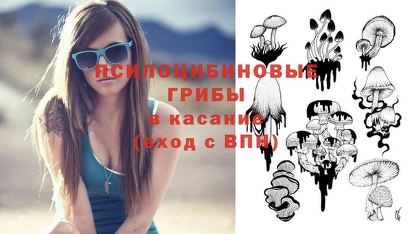 PSILOCYBIN Богородицк