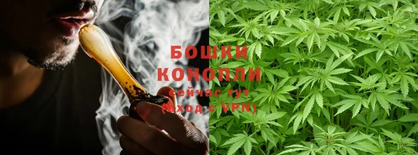 первитин Богданович