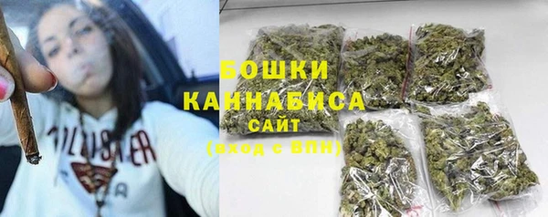 PSILOCYBIN Богородицк