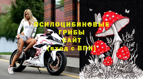 первитин Богданович