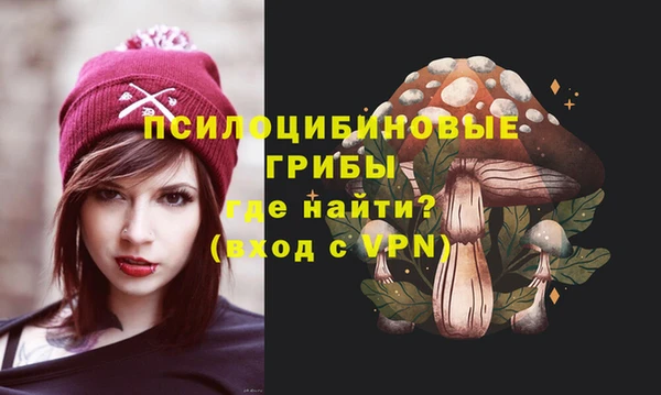 PSILOCYBIN Богородицк